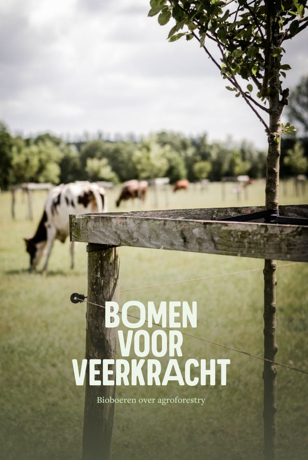 Brochure Cover Bomen voor Veerkracht
